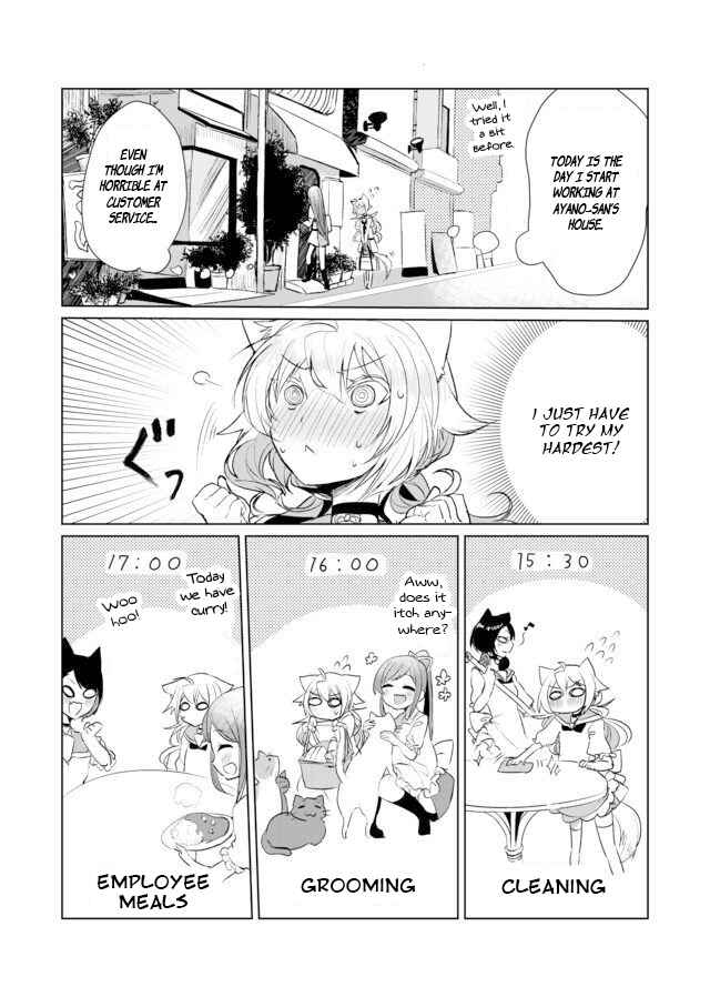 Page 2 Chapter 9 Catulus Syndrome