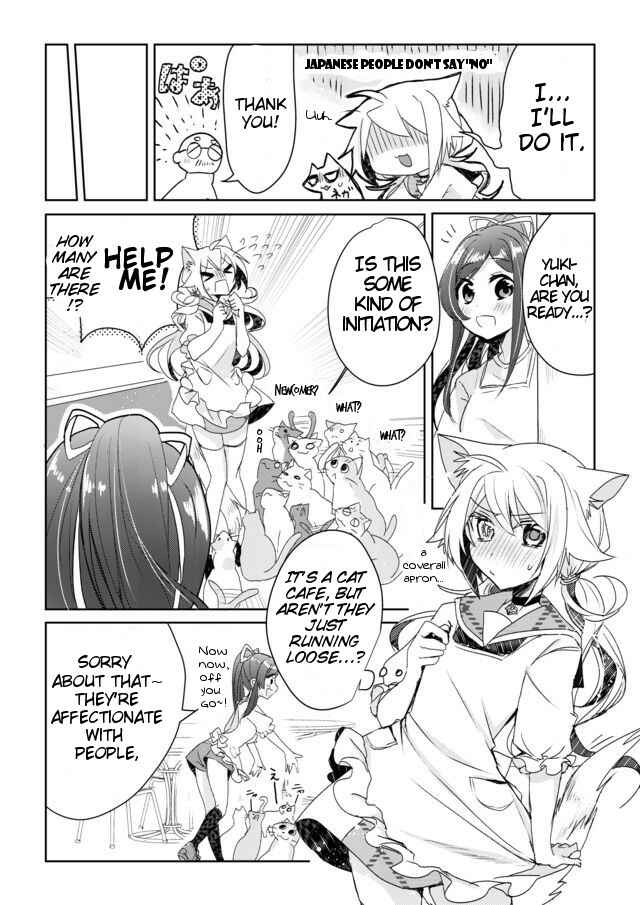 Page 8 Chapter 2 Catulus Syndrome