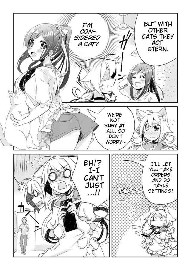 Page 9 Chapter 2 Catulus Syndrome
