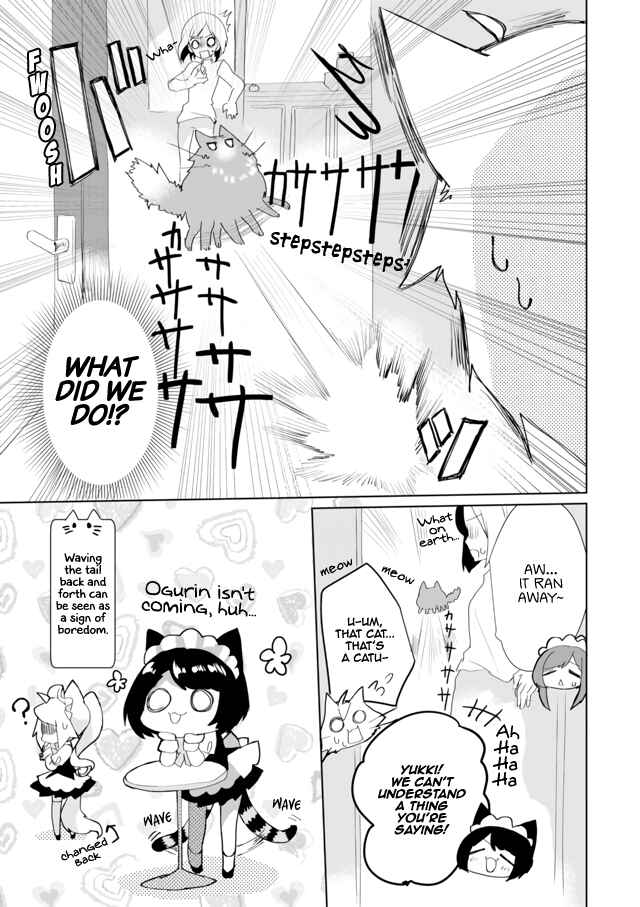 Page 13 Chapter 33 Catulus Syndrome