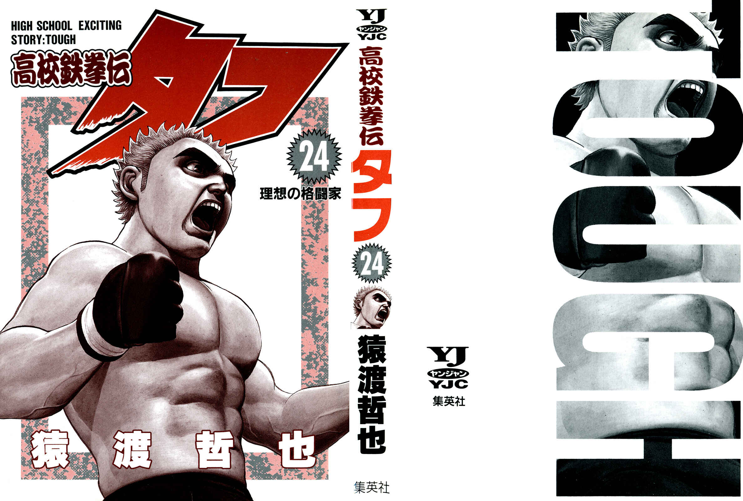 Page 2 Chapter 248 Koukou Tekken-den Tough