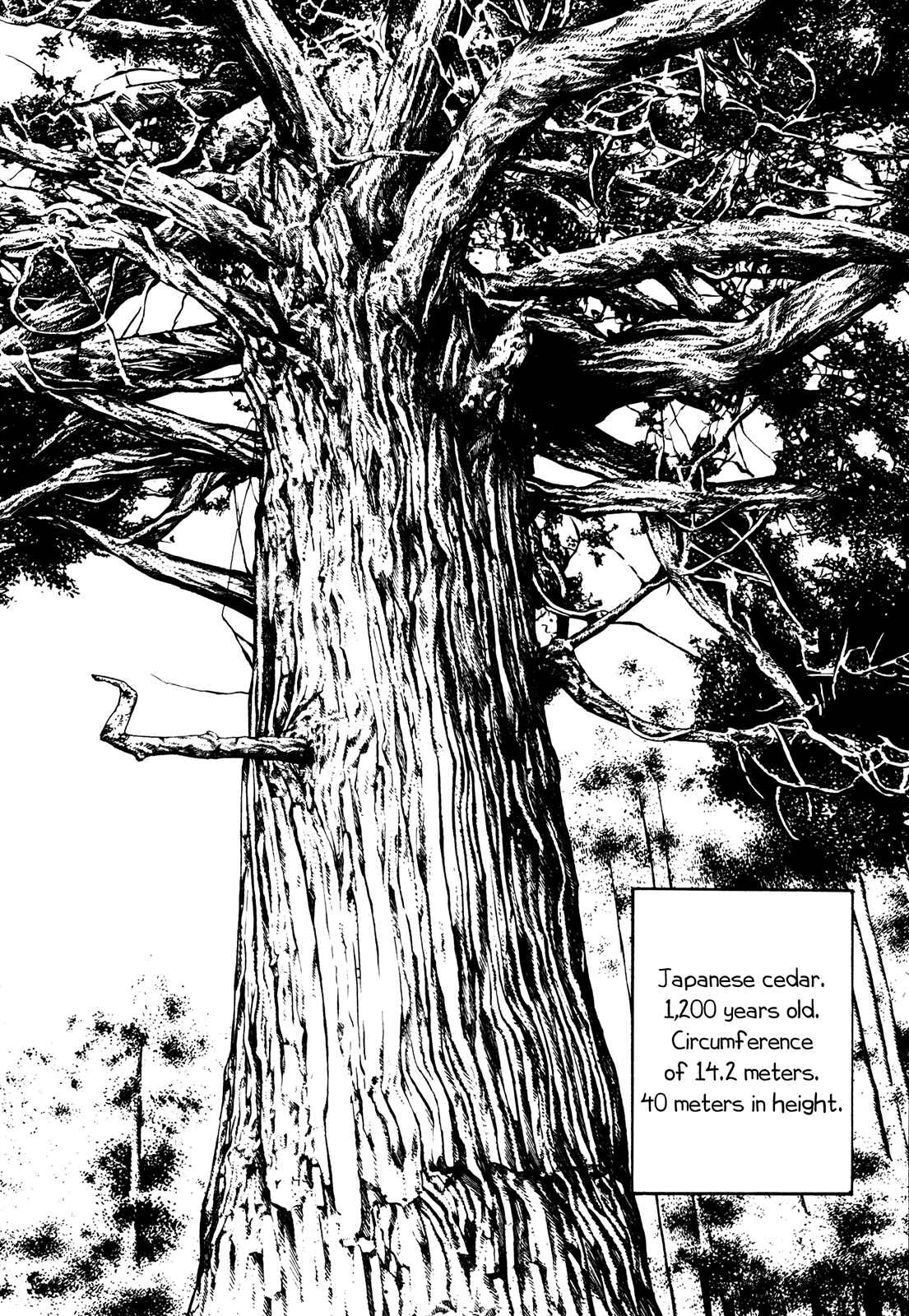 Page 2 Chapter 232 Koukou Tekken-den Tough