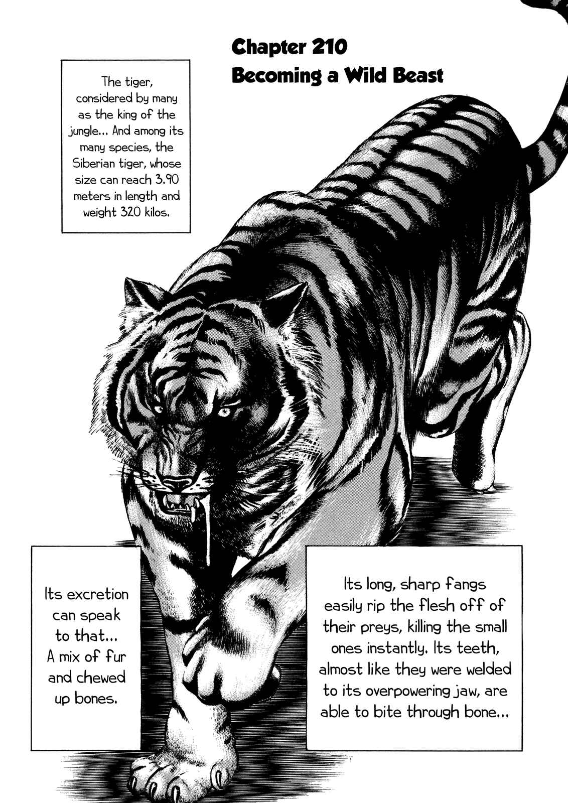 Page 1 Chapter 210 Koukou Tekken-den Tough