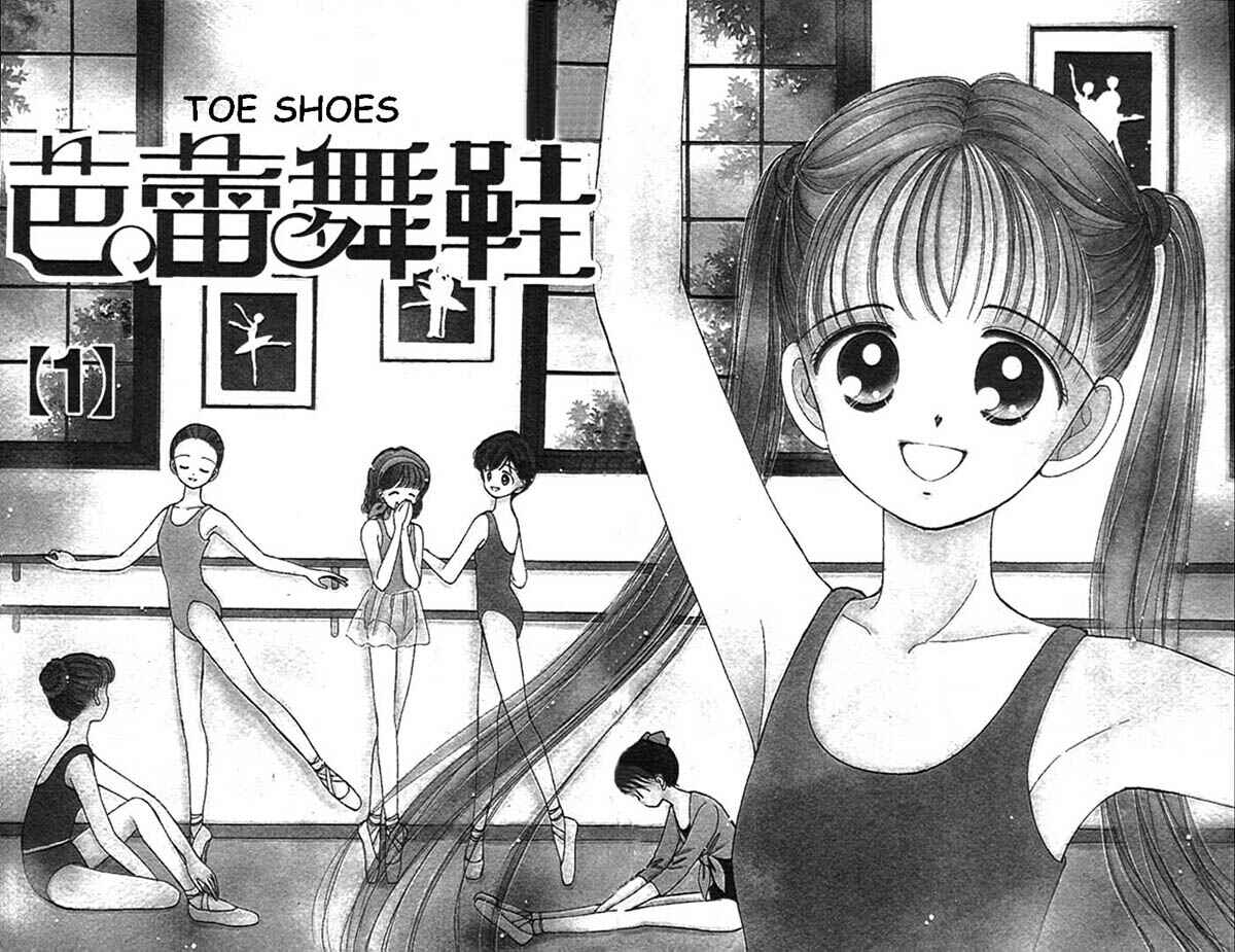 Page 3 Chapter 1.1 Toe Shoes