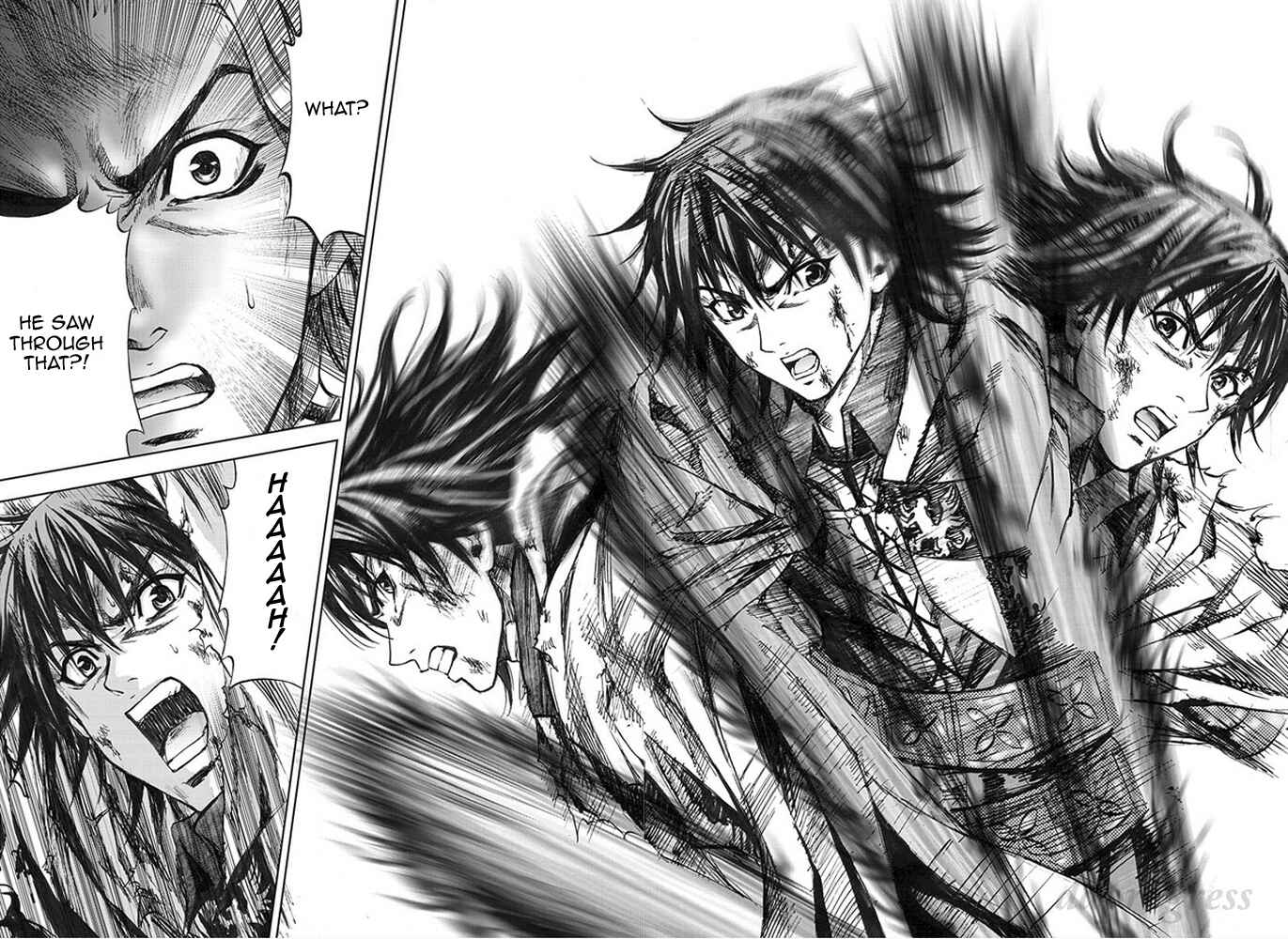 Page 25 Chapter 11 Dragons Dogma Progress