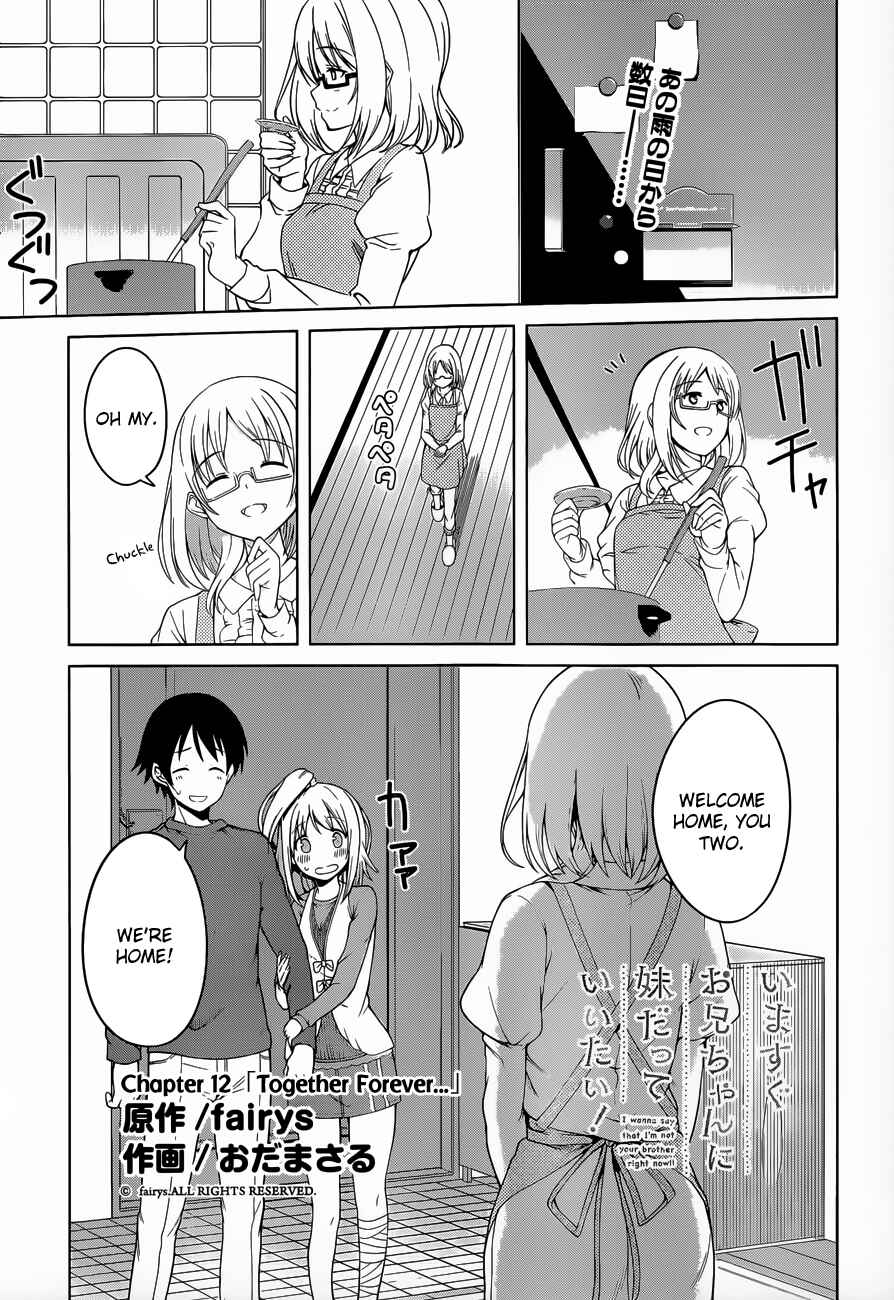 Page 1 Chapter 16 Imasugu Onii-chan ni Imouto da tte Iitai!
