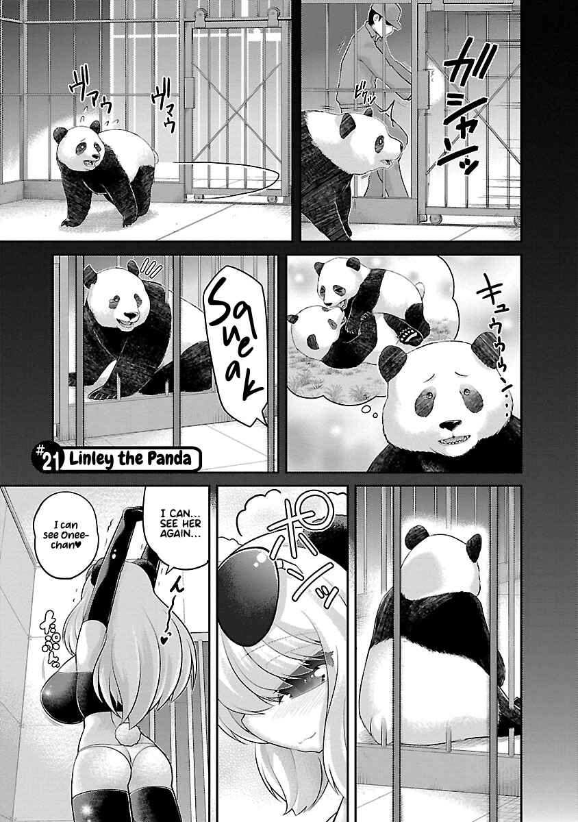 Page 1 Chapter 21 Kemokko Dobutsuen!