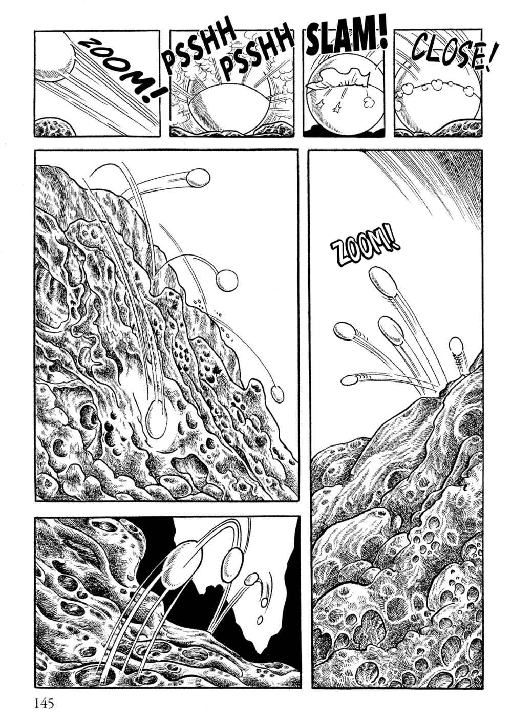 Page 5 Chapter 12 Norman