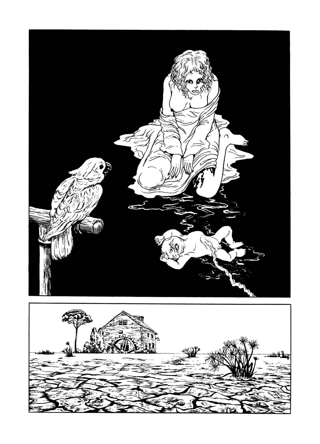 Page 18 Chapter Unknown_524e Chloroform