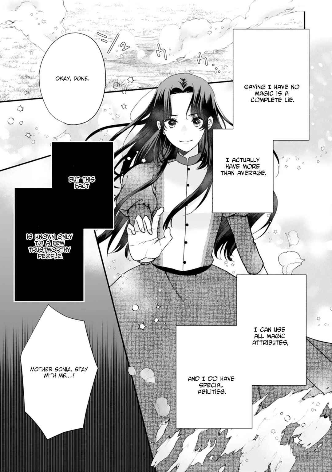 Page 17 Chapter 1 Futago Ouji no Mamahaha ni Narimashite ~Kiraware Akujo desu ga, Sonna Koto yori Musuko-tachi ga Kawaisugite Komarimasu~