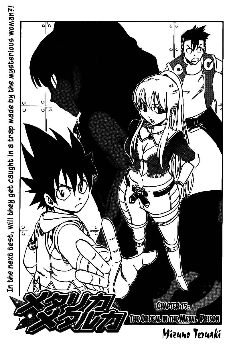 Page 1 Chapter 15 Metalica Metaluca