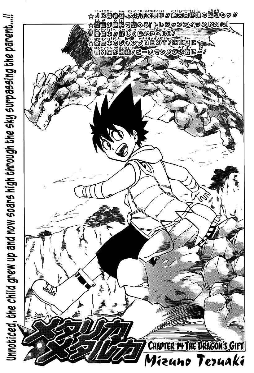 Page 3 Chapter 14 Metalica Metaluca
