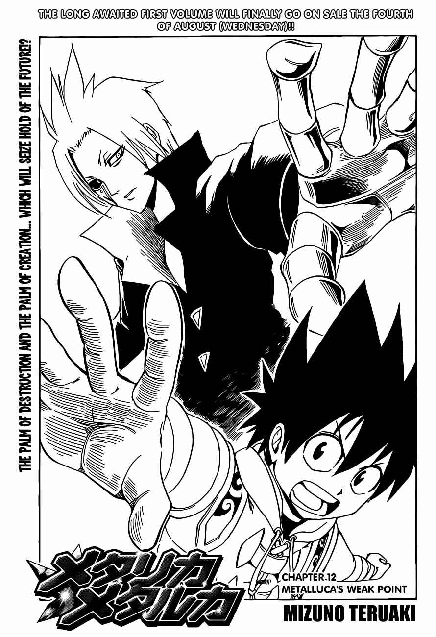 Page 2 Chapter 12 Metalica Metaluca