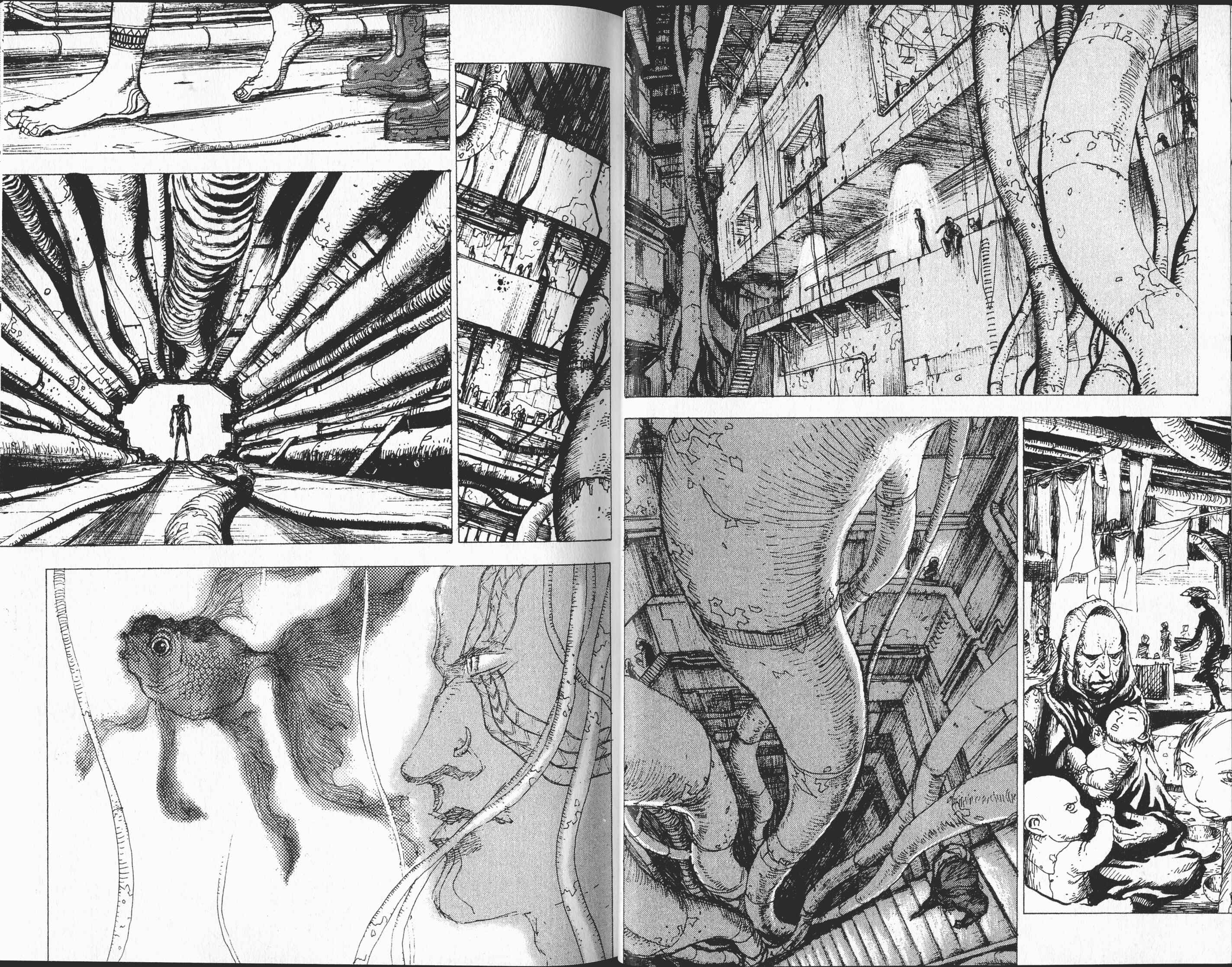 Page 30 Chapter 1.1 STONe