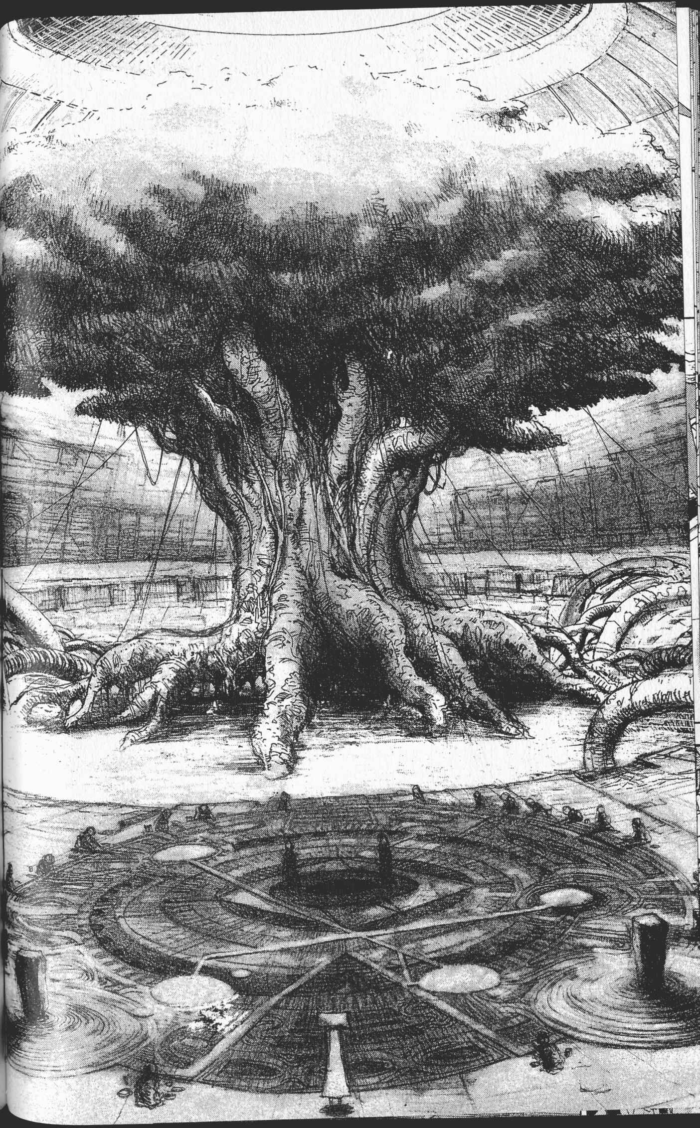 Page 9 Chapter 3 STONe