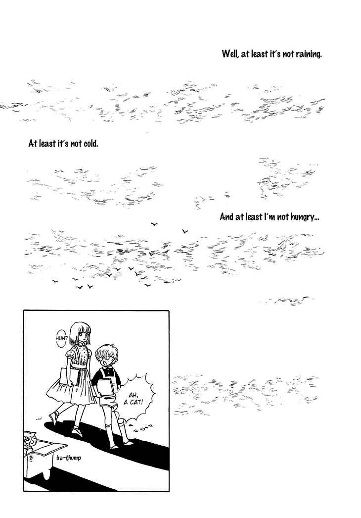 Page 16 Chapter 5 The Star of Cottonland