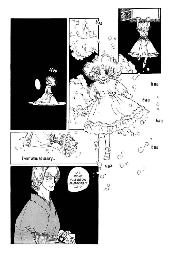 Page 20 Chapter 5 The Star of Cottonland