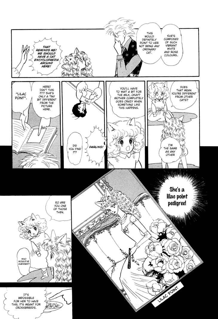 Page 16 Chapter 9 The Star of Cottonland