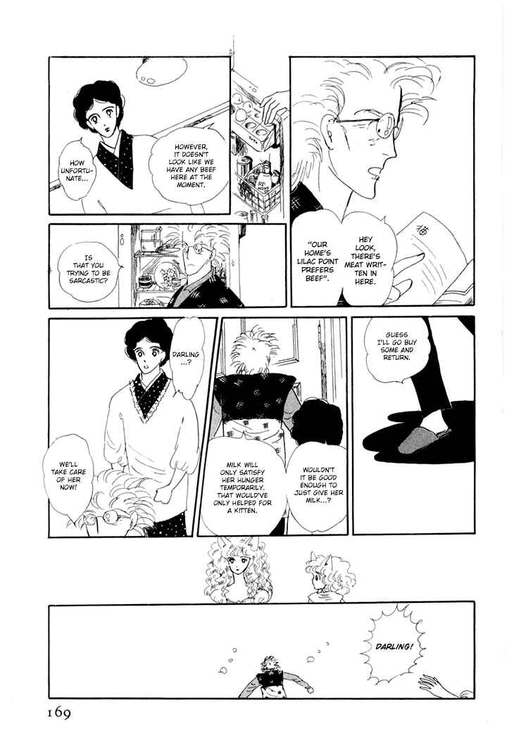 Page 17 Chapter 9 The Star of Cottonland