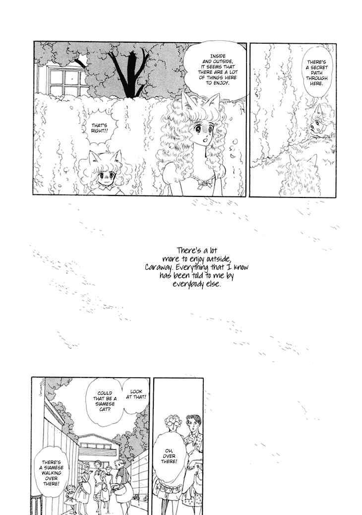 Page 24 Chapter 9 The Star of Cottonland