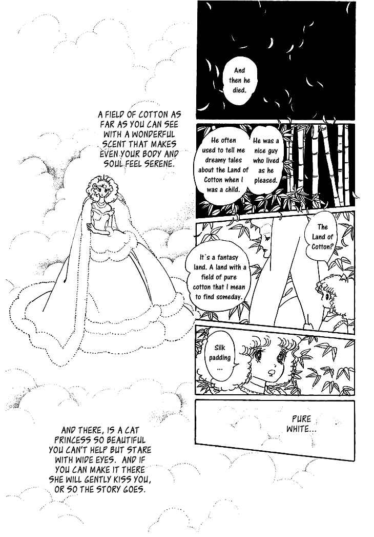 Page 22 Chapter 1.2 The Star of Cottonland