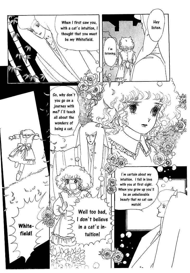 Page 25 Chapter 1.2 The Star of Cottonland