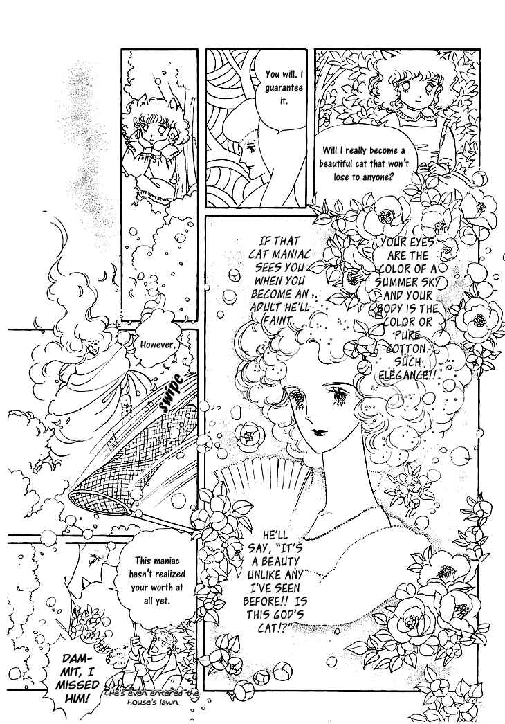 Page 36 Chapter 1.2 The Star of Cottonland