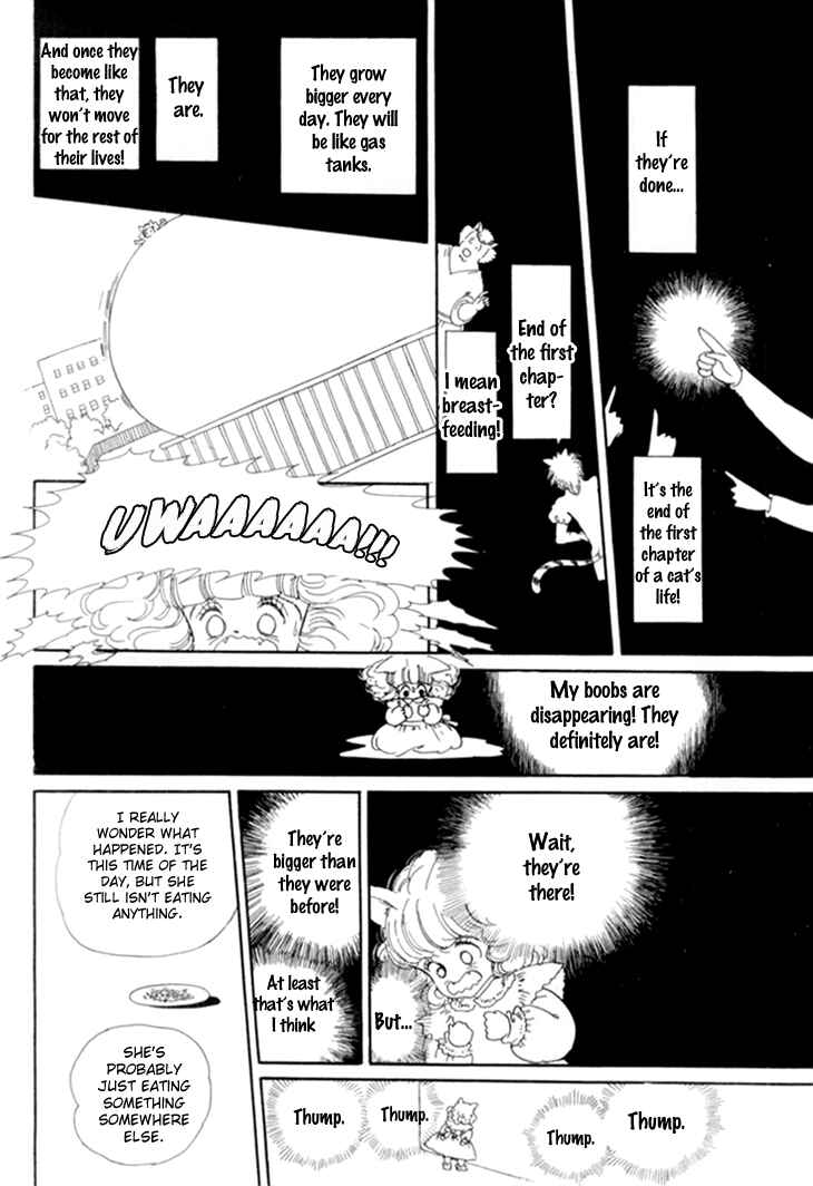Page 12 Chapter 15 The Star of Cottonland