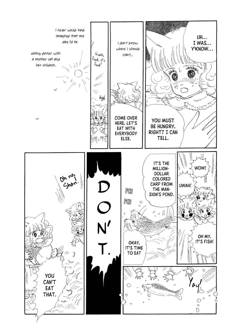 Page 21 Chapter 20 The Star of Cottonland