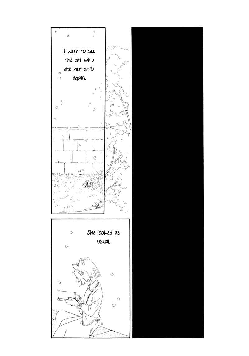 Page 53 Chapter 20 The Star of Cottonland