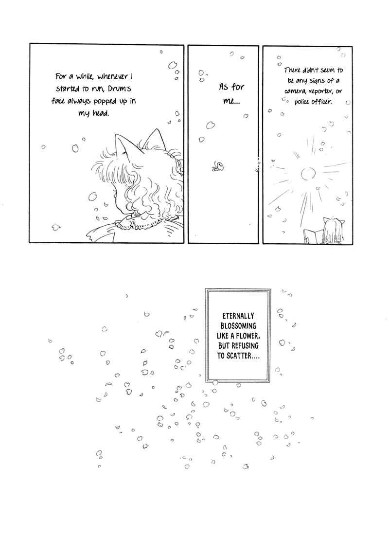 Page 54 Chapter 20 The Star of Cottonland