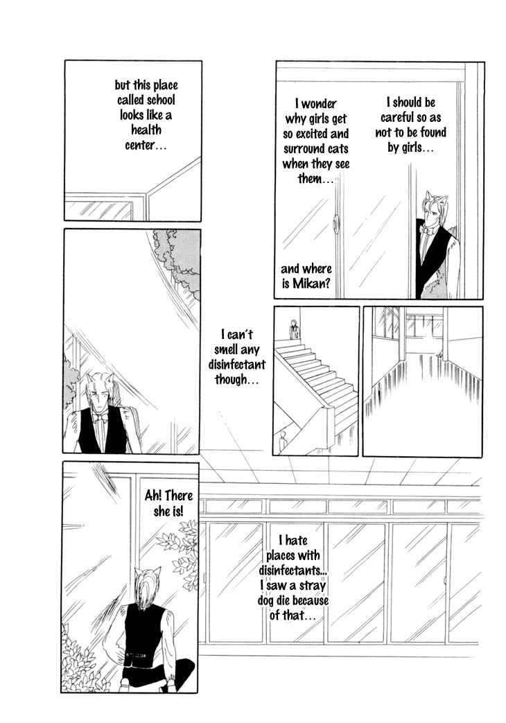 Page 28 Chapter 11 The Star of Cottonland