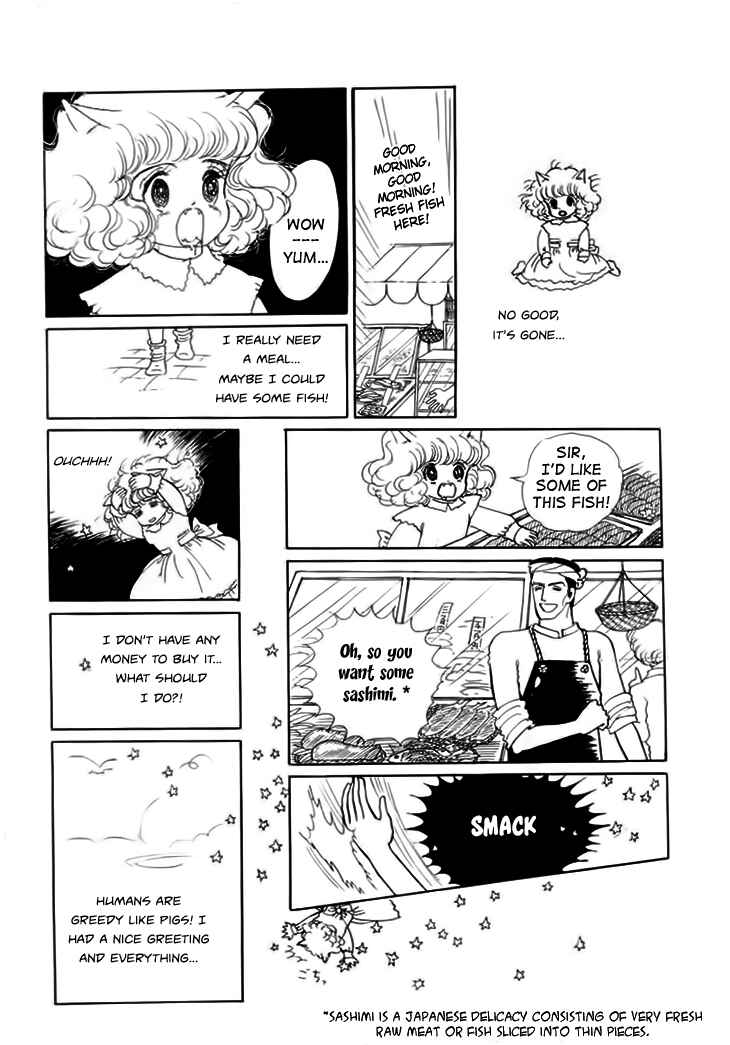 Page 14 Chapter 7 The Star of Cottonland