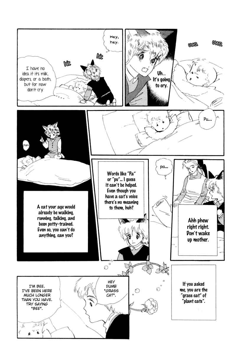 Page 12 Chapter 13 The Star of Cottonland