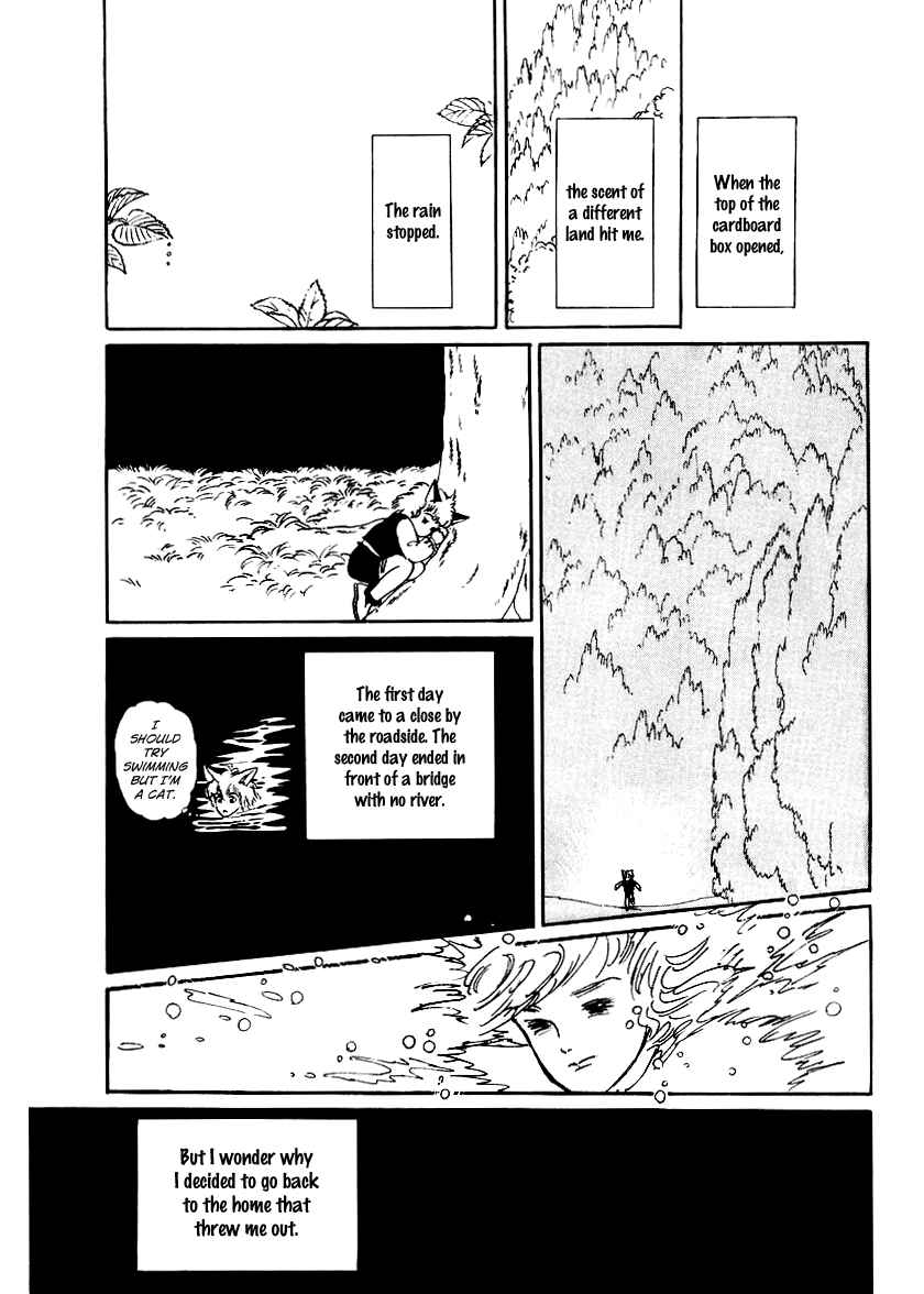 Page 15 Chapter 13 The Star of Cottonland