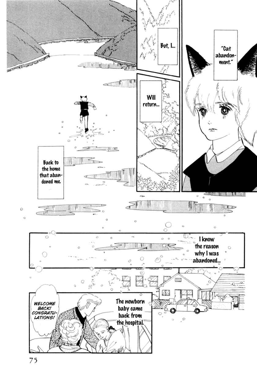 Page 5 Chapter 13 The Star of Cottonland