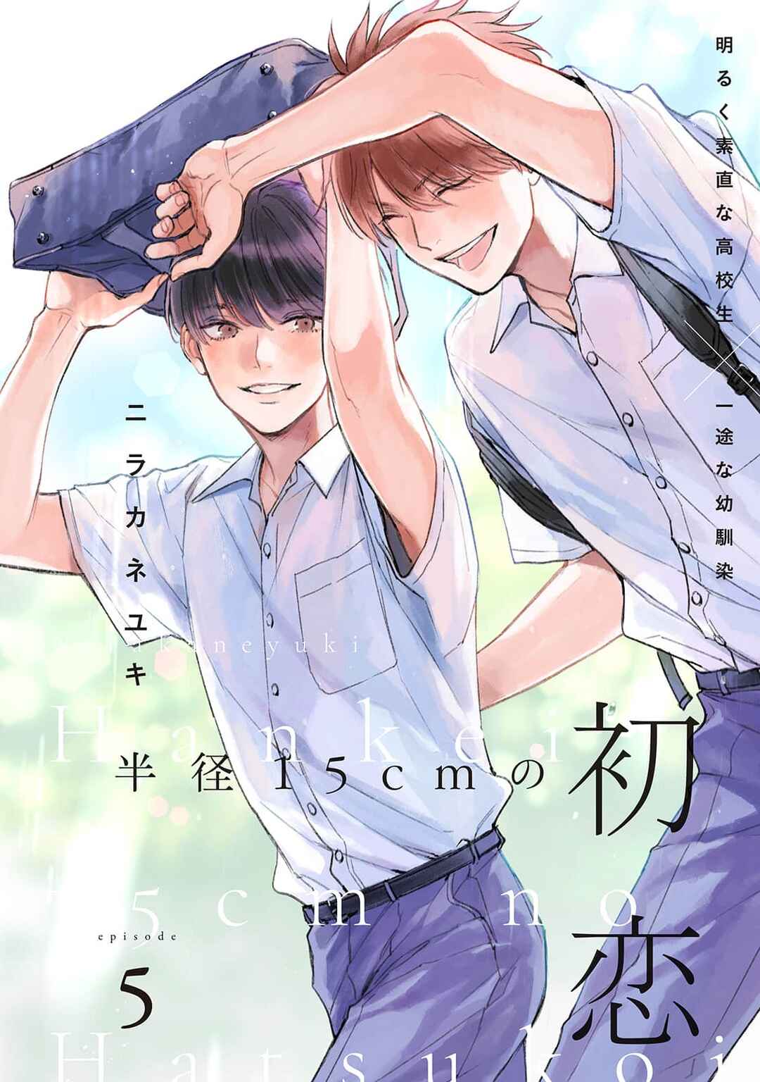 Page 1 Chapter 5 Hankei 15cm no Hatsukoi