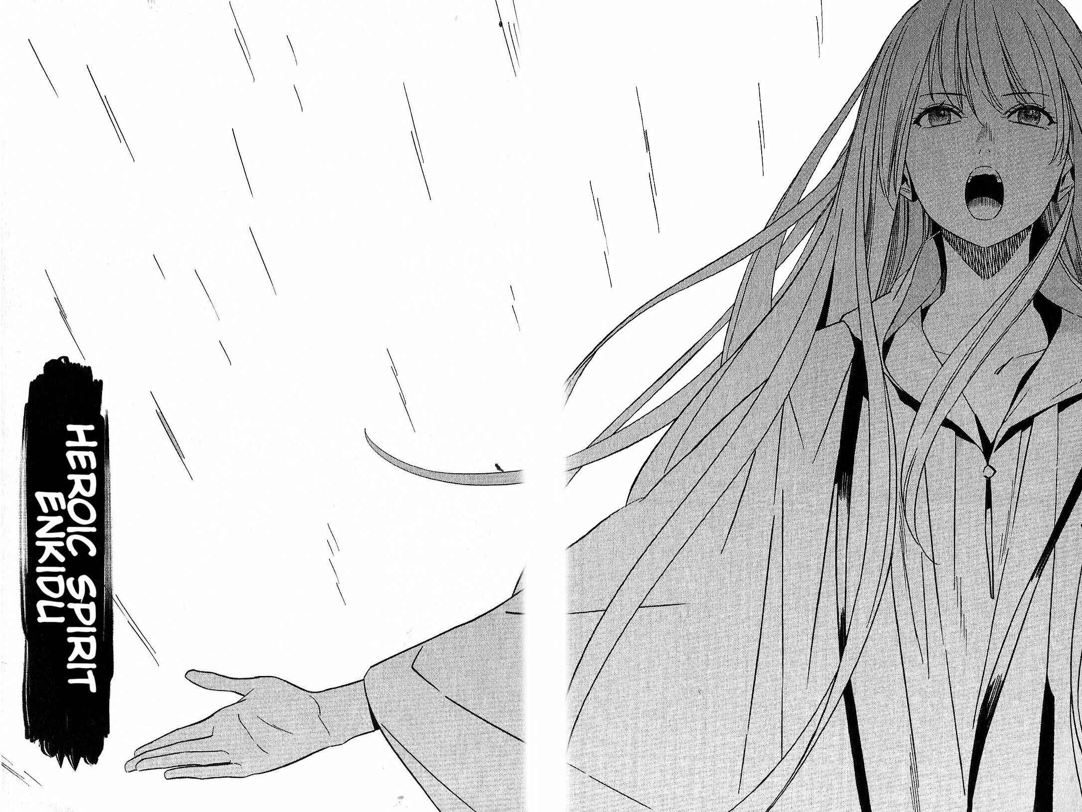 Page 38 Chapter 6 Fate/strange Fake