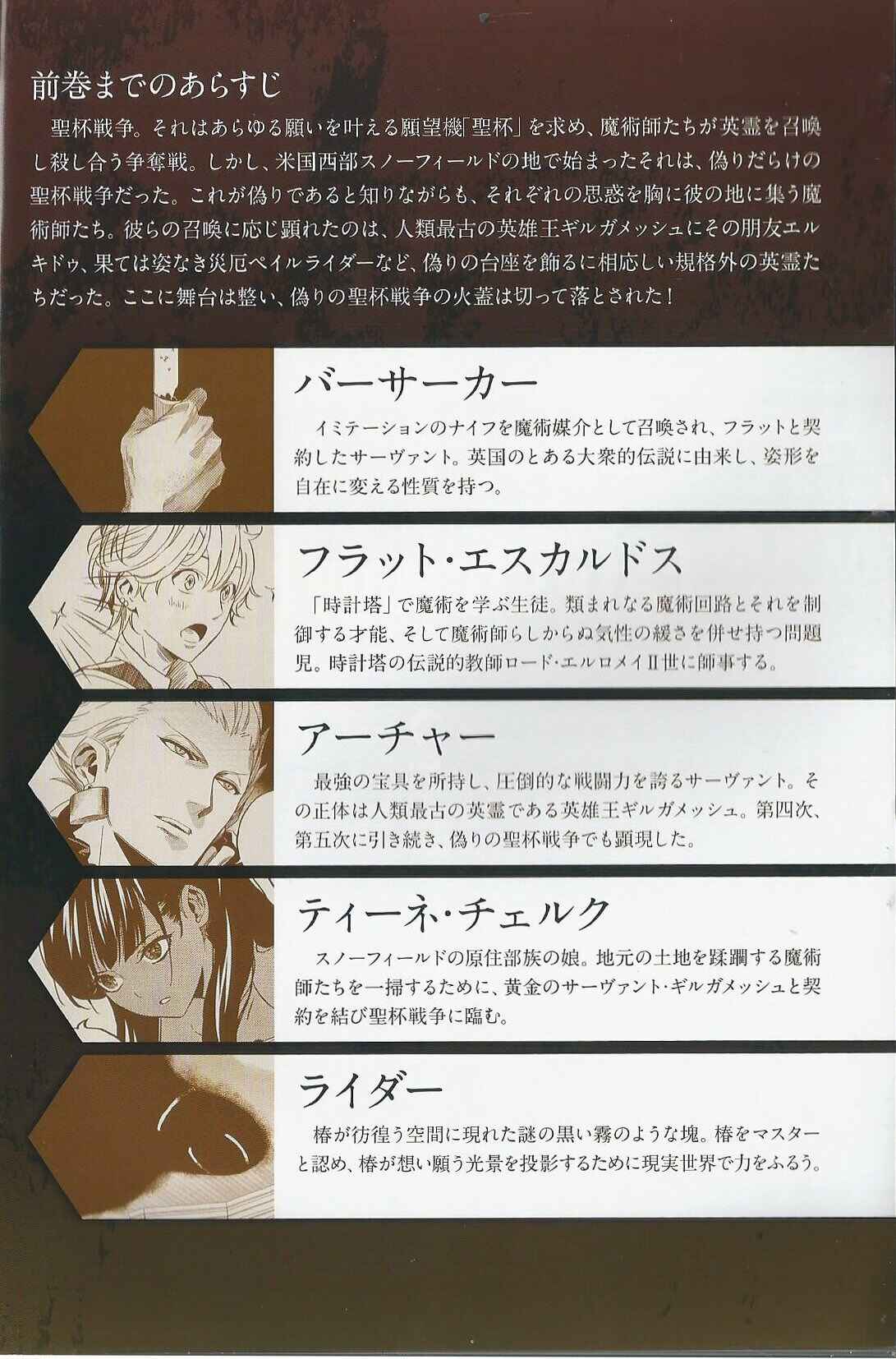Page 3 Chapter 7 Fate/strange Fake