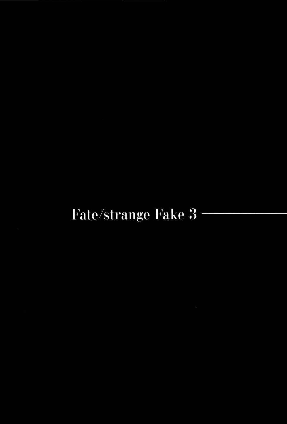 Page 23 Chapter 11 Fate/strange Fake