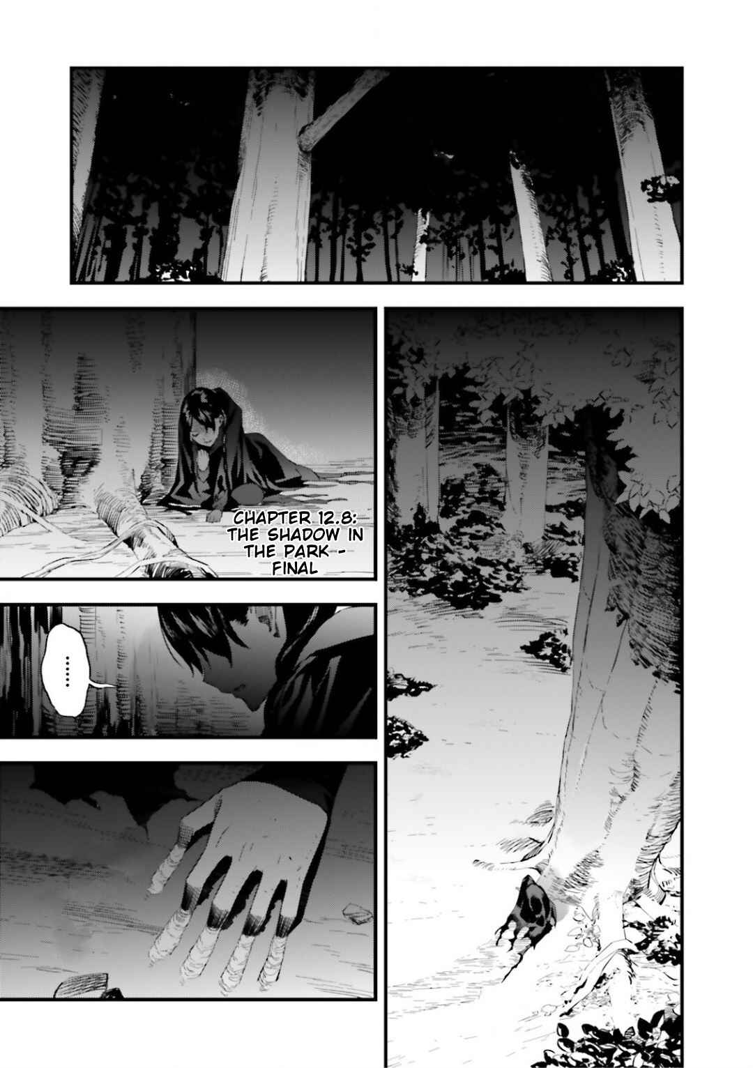 Page 3 Chapter 12.08 Fate/strange Fake