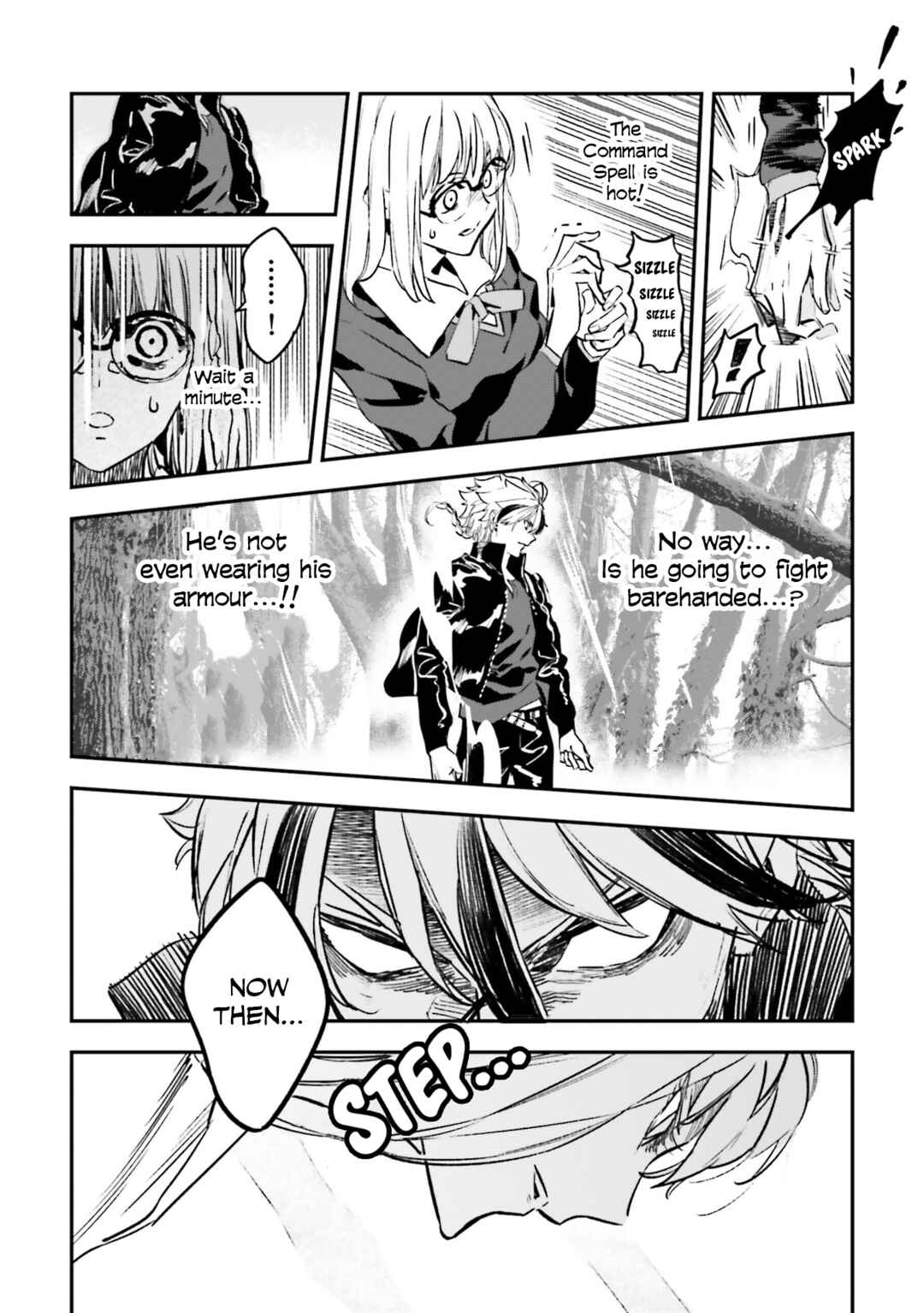 Page 1 Chapter 17.3 Fate/strange Fake
