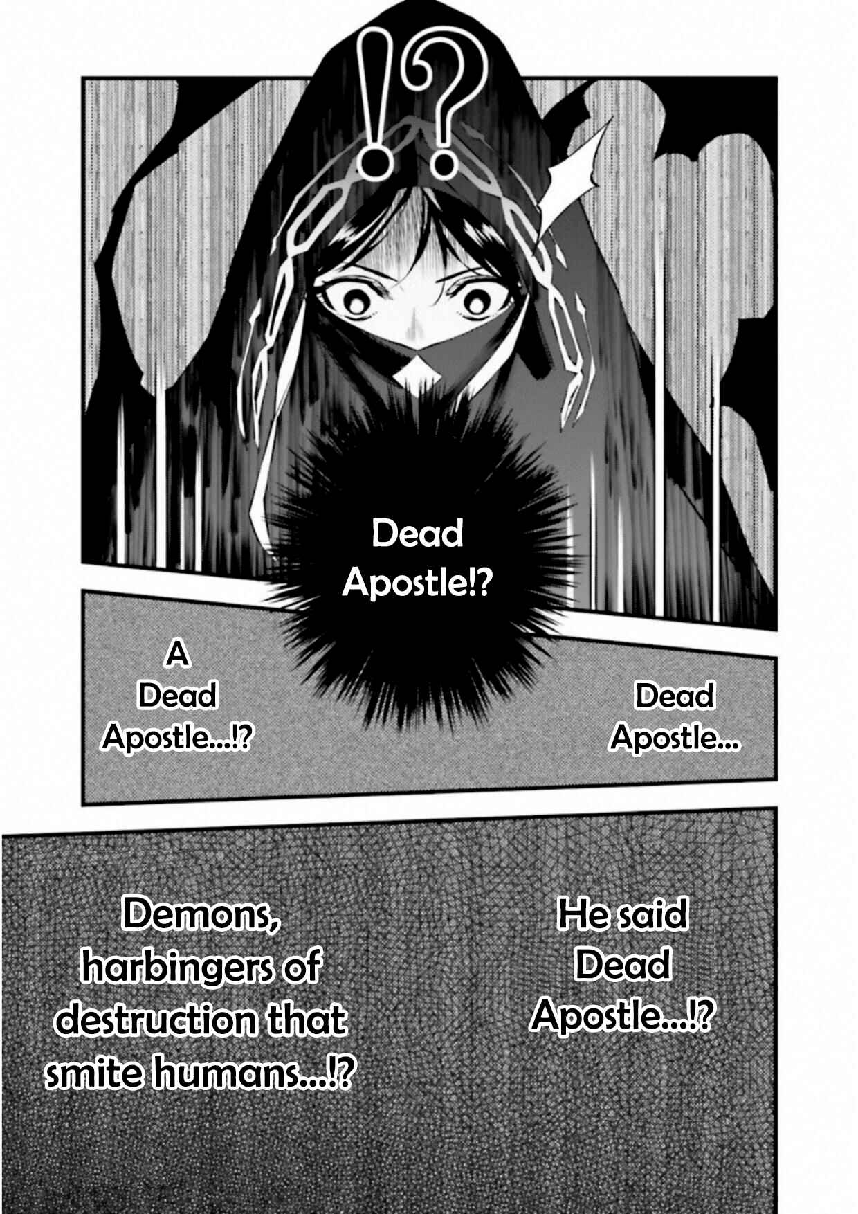 Page 25 Chapter 12.03 Fate/strange Fake