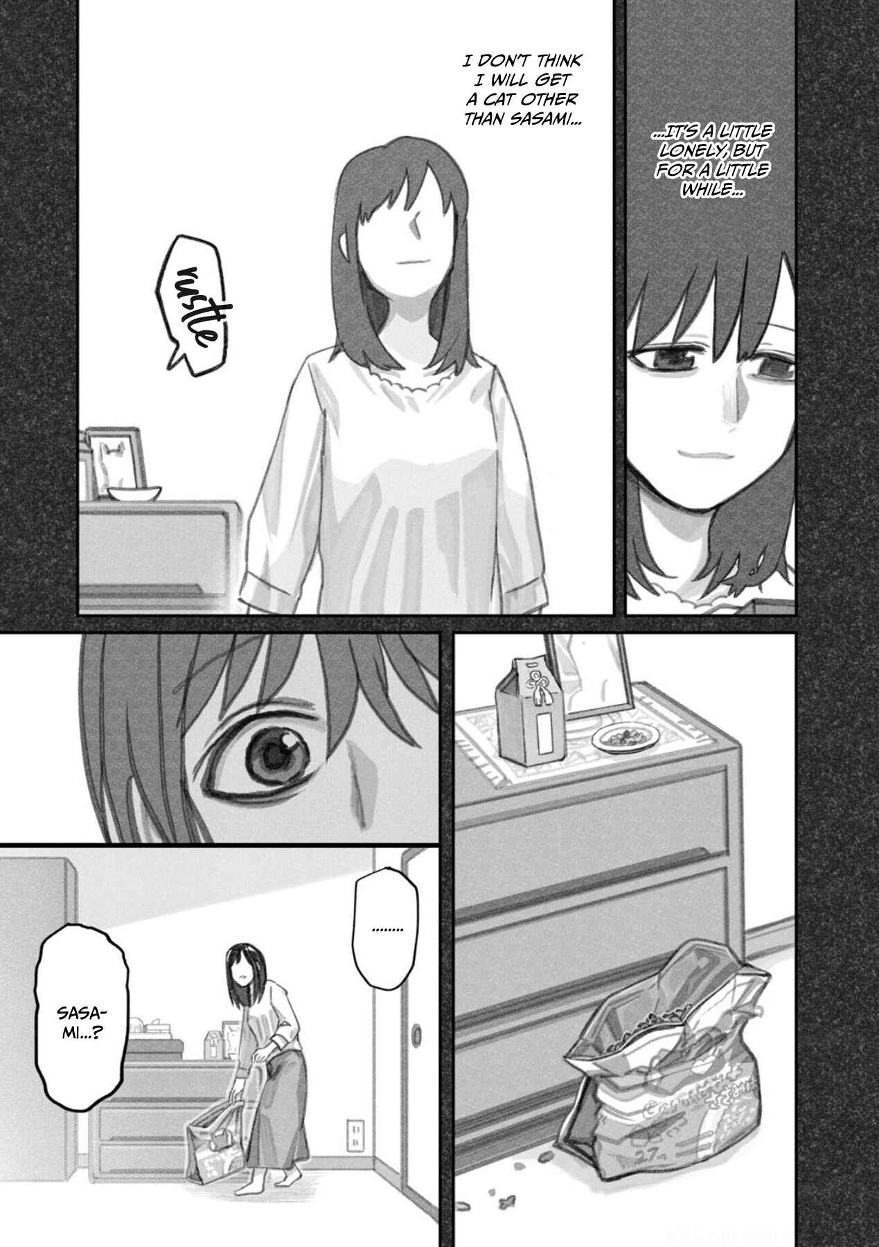 Page 17 Chapter 7 The Story of How I Found My Cat