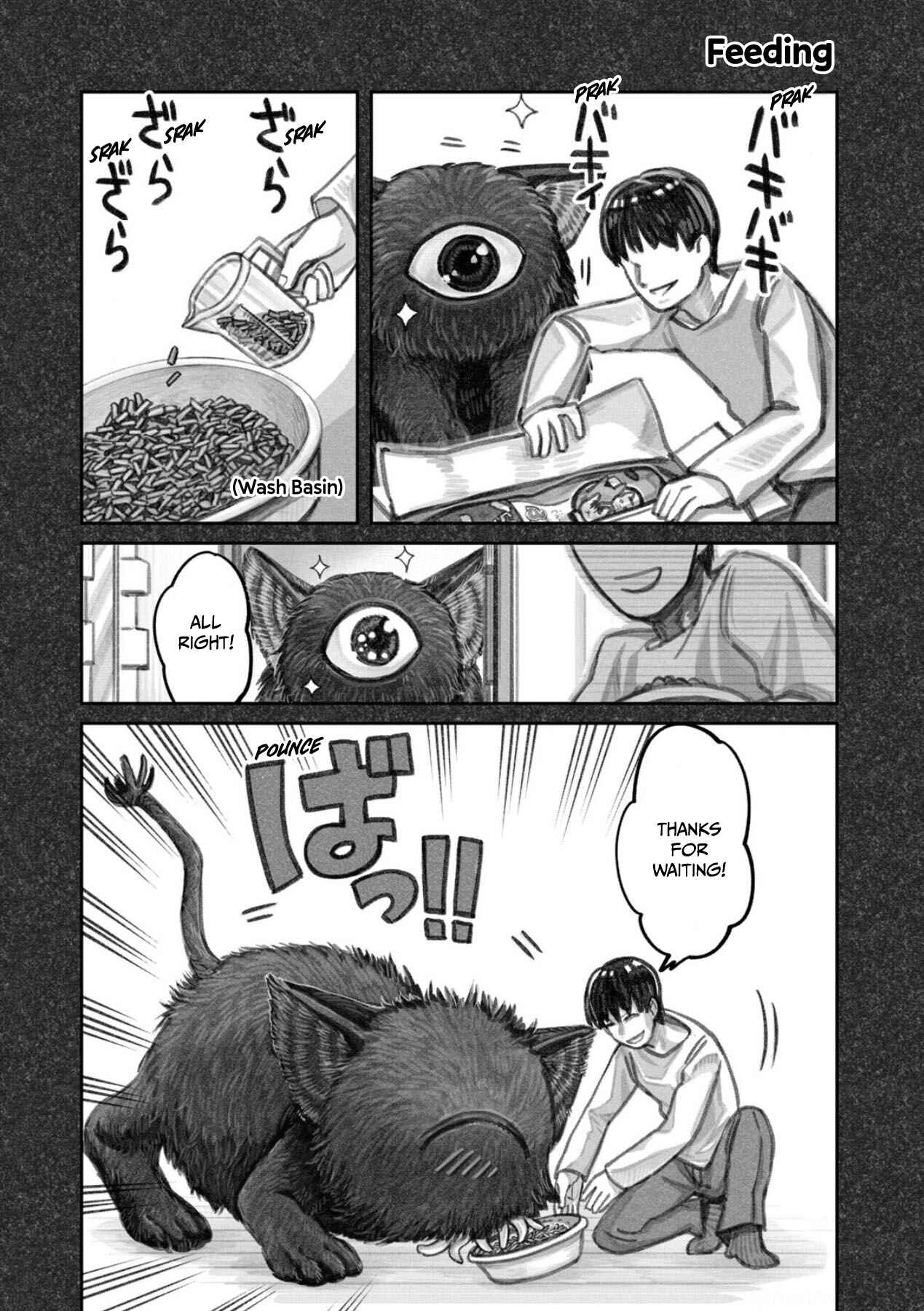 Page 3 Chapter 3 The Story of How I Found My Cat