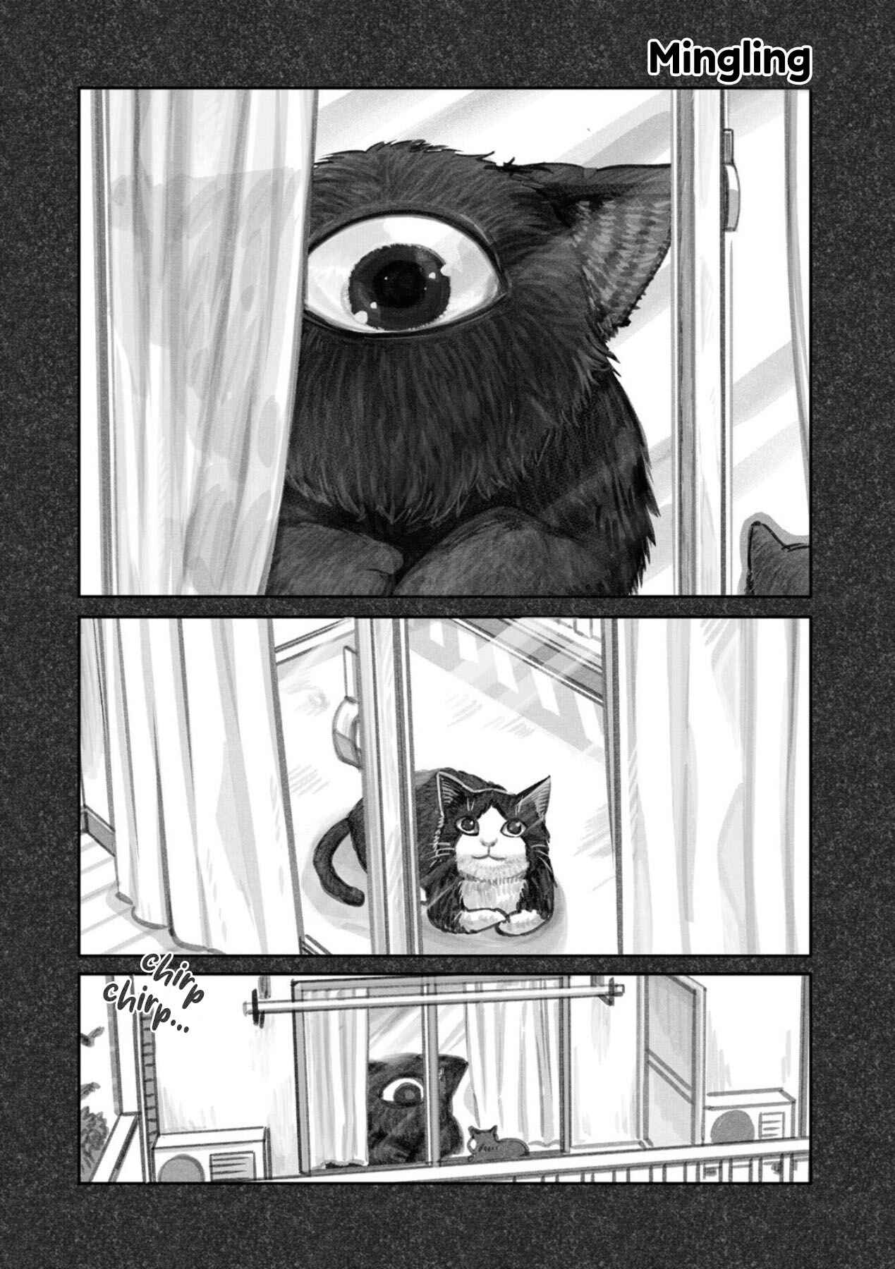 Page 11 Chapter 2 The Story of How I Found My Cat