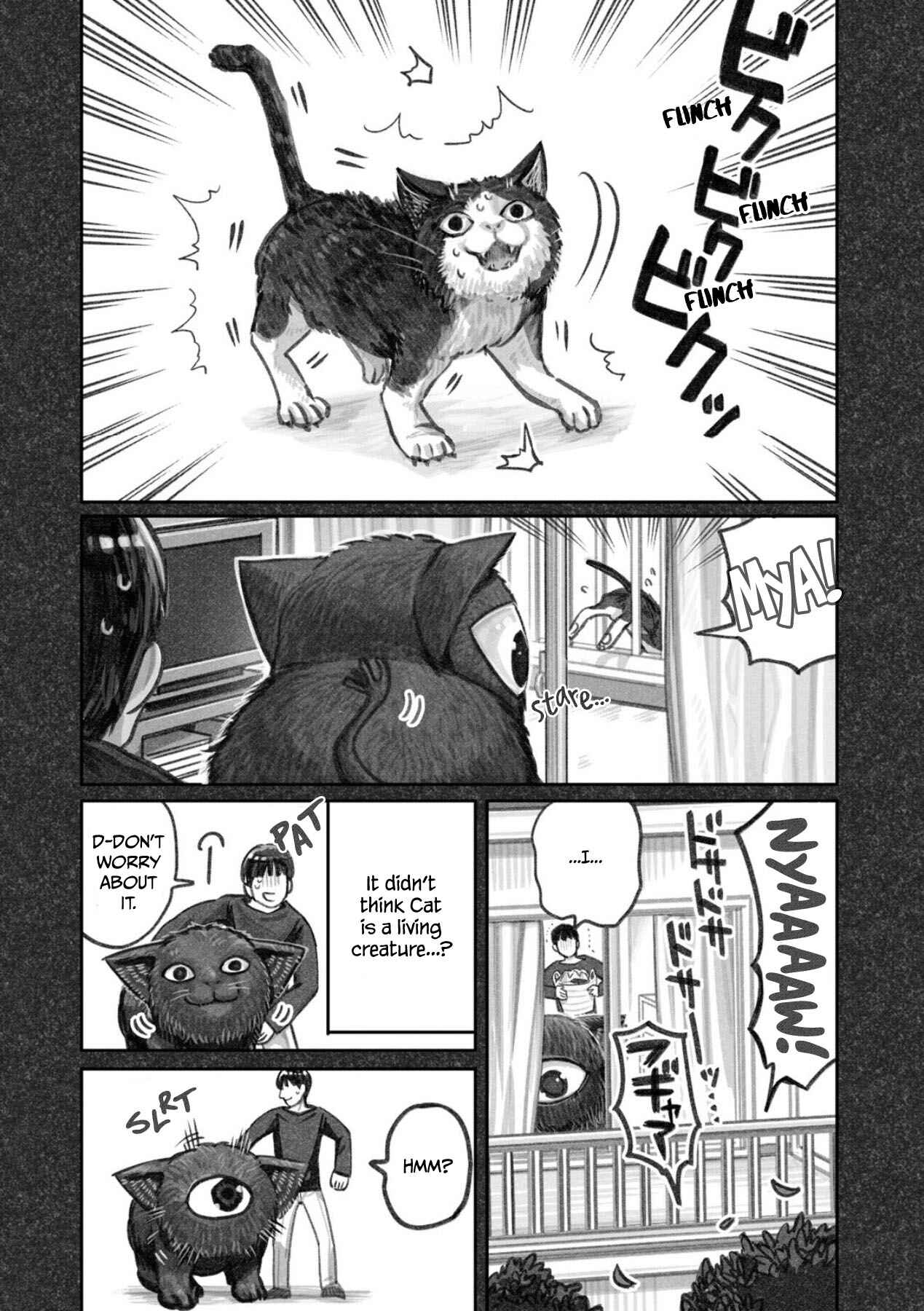 Page 13 Chapter 2 The Story of How I Found My Cat