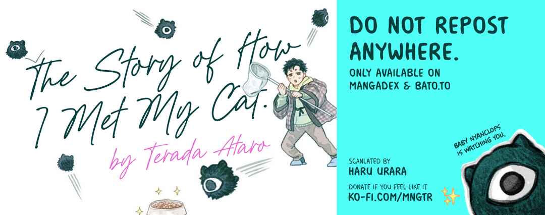 Page 8 Chapter 1 The Story of How I Found My Cat