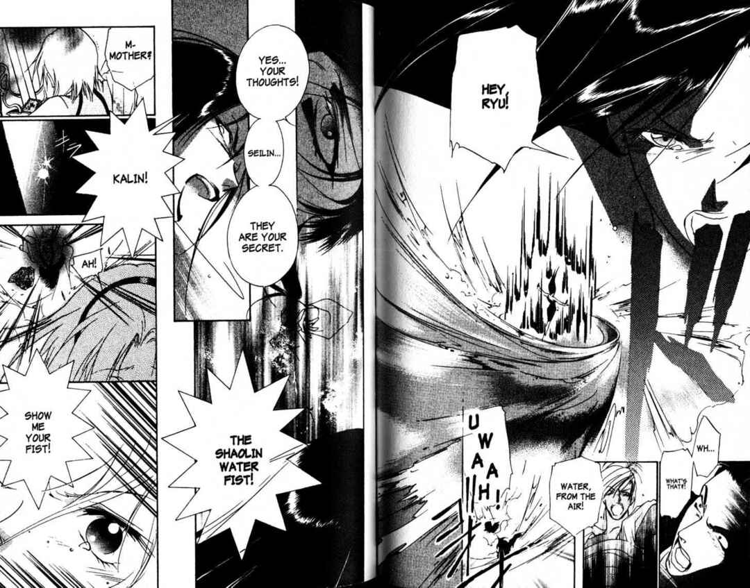 Page 9 Chapter 25 The Kung Fu Sisters Lin³