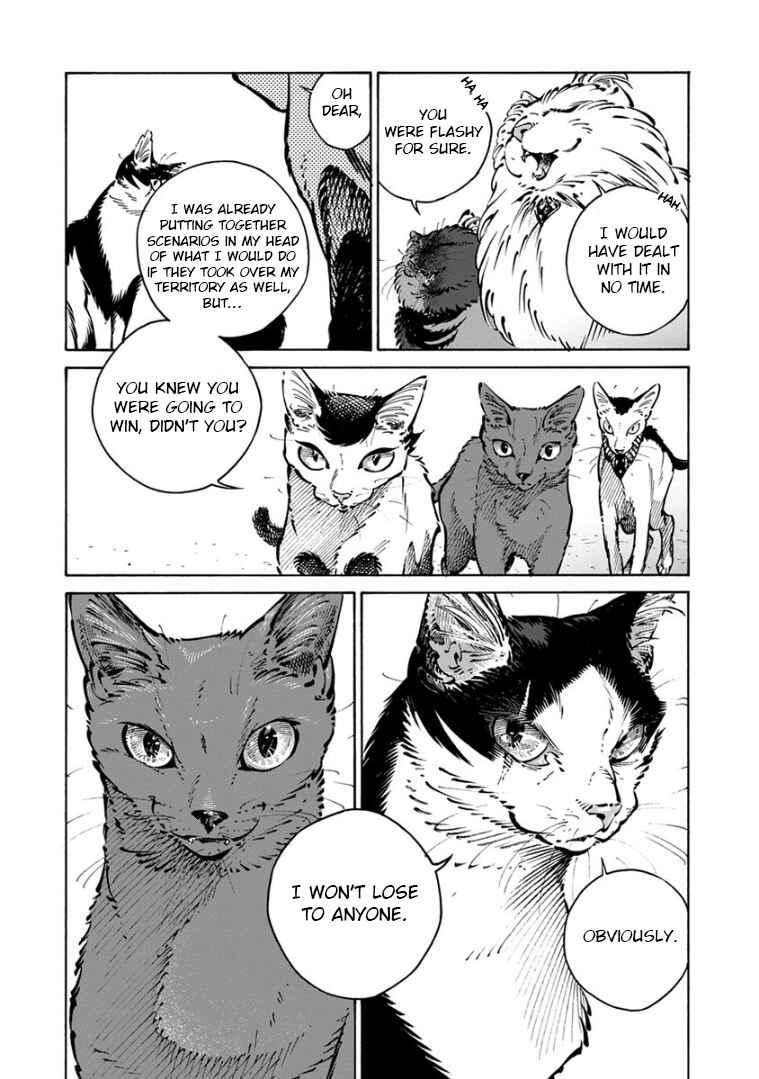 Page 73 Chapter 35 Rojiura Brothers